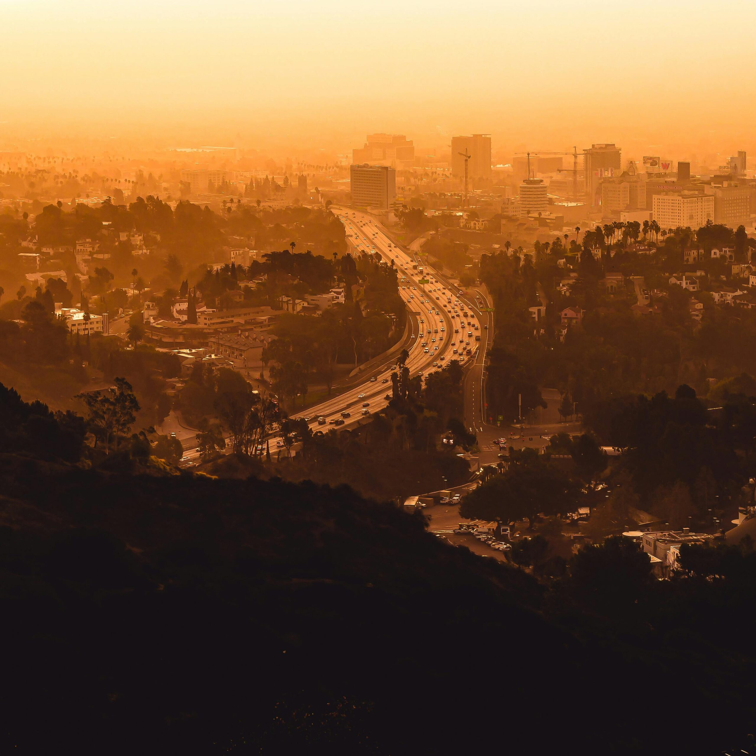 Almeida law group |